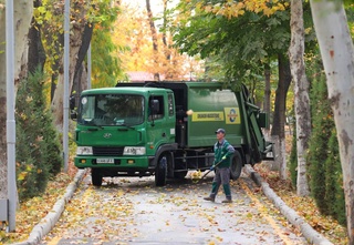 В Узбекистане наградят защитников природы и самые чистые махалли