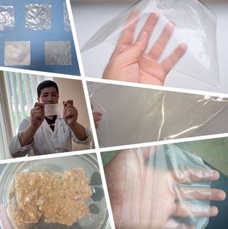 Узбекские ученые создали биоразлагаемую пленку из растительного сырья