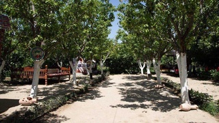 Продолжается работа по строительству туристической махалли «Боги баланд»