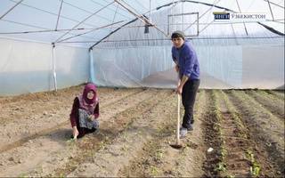 “Ғалаба”дан бошланган зафар тонги