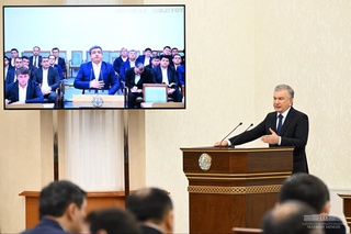 “Ноқонуний кесилган ҳар бир дарахт ўрнига 100 та кўчат экиш” тизими жорий қилинади