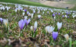 Ҳафта давомида ҳарорат баъзи жойларда +24 даражагача кўтарилади