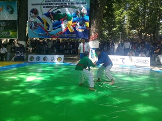 Водилда кураш байрами бошланди