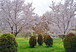 Прогноз погоды на 10 марта