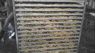 Юқоричирчиқ туманида табиий газ тармоғига ўзбошимчалик билан уланган яширин цех фаолияти фош этилди