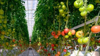 Инновационный подход, передовой опыт, достойные условия работы