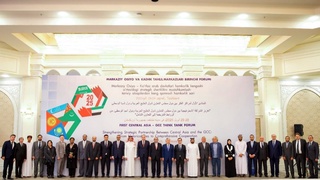 Koʻrfaz davlatlari Oʻzbekistonga  3 milliard dollardan ortiq investitsiya kiritdi