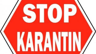 Tug‘ilgan kun nishonlanishi sabab 13 nafar fuqaro koronavirusga chalindi