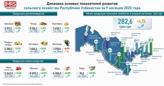 За девять месяцев 2023 года объем сельскохозяйственной продукции в Узбекистане вырос на 4,1%