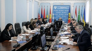 CIS experts have agreed on a draft Inter-state program of joint measures to combat crime for 2024-2028