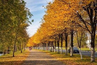 Узгидромет: на выходных в Узбекистане ожидается прохладная погода