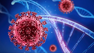 COVID-19 зотилжамини ташхислаш учун дастур яратилди