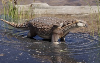 Трехметровый «малыш»: ученые открыли новый вид динозавров