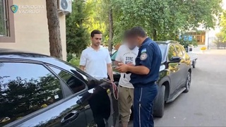 Жителя Ташкента, снявшего контент с живыми рыбами на капоте автомобиля, оштрафовали