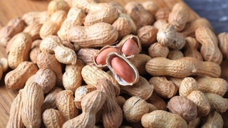 Сурхондарёда ерёнғоқ экспорти давом этади