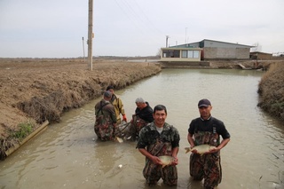 Inspeksiyaning koʻmagi bilan fermer xoʻjaligi uchun 140 million soʻm subsidiya ajratildi