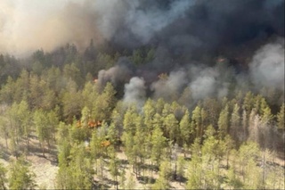 Ёнғинлар профилактикаси самарадорлиги янада оширилади
