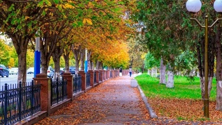 Дам олиш кунлари қандай об-ҳаво кутилмоқда?