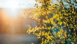 Ушбу ҳафтада Ўзбекистонда ҳаво ҳарорати +42 даражагача кўтарилади