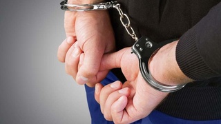 СГБ задержала гражданина, продававшего 5 гектаров земли за 1 миллион долларов