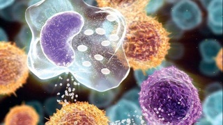 Разработан тест, предсказывающий тяжелую форму COVID-19