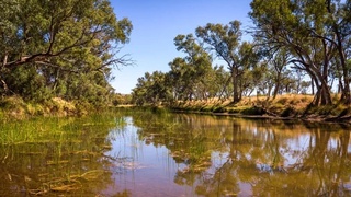 Дунёда қайси дарё энг қадимги саналади?