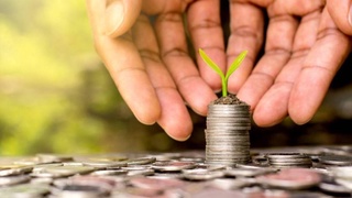 В Узбекистане тестируют Единую информационную систему «Агросубсидия»