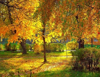 Comfortable and mostly dry weather is expected in Uzbekistan this week