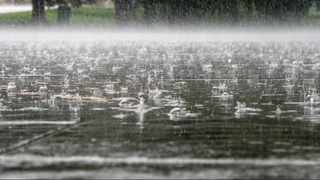 Эртага баъзи жойларда ёмғир ёғиб, момақалдироқ бўлиши мумкин