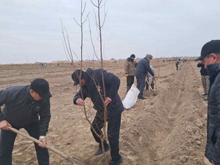 Дәрья бойындағы алыс аўылда бағ жаратылмақта