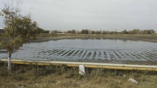 В Навоийской области выявлено 355 правонарушений рационального использования воды