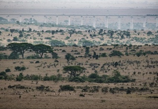 Keniyada ikkita samolyot to'qnashib ketdi, oqibatida ikki kishi hayotdan ko'z yumdi