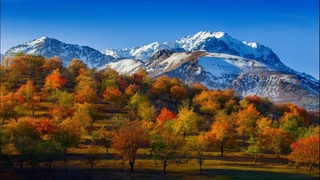 Прогноз погоды на 20 ноября