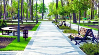 Маҳаллалар ташаббуси билан яшил боғлар ташкил этилиши мумкин