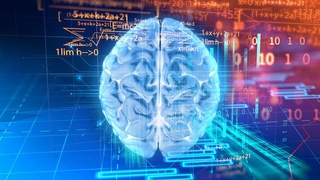 Neyrotarmoq Alsgeymer kasalligini bashorat qilishni o'rgandi