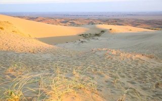 Cho'l havosidan suv ajratib oladigan material ishlab chiqildi