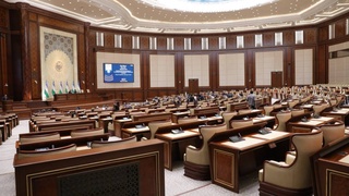 В ходе 37-го пленарного заседания Сената Олий Мажлиса рассмотрено 12 вопросов, в том числе 9 законов