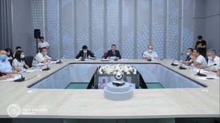 Сенатнинг янги қўмитаси илк мажлисини ўтказди