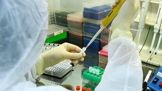 Узбекистан и Россия прорабатывают соглашение по борьбе с инфекциями