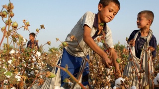 За принуждение к труду несовершеннолетнего - уголовная ответственность
