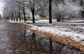 Апта ішінде республикамызда күн суытады