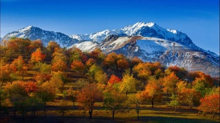 Қиш илиқ ҳаво билан бошланади