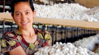 Новый этап развития шелковой промышленности