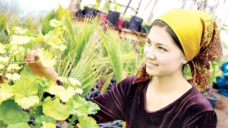 Владельцам приусадебных земель - всестороннюю поддержку