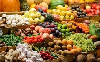 Подведены итоги реализации совместного проекта Минсельхоза Узбекистана и ФАО