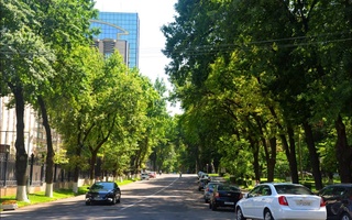 Пешгӯии обу ҳаво барои 16 июн