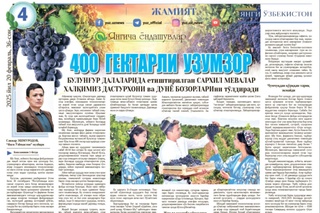 Bulungʻur tumanining boʻsh yotgan 400 gektar qir-adirida uzumzor tashkil etilyapti