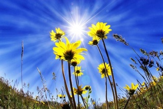 Прогноз погоды на день 8 июня