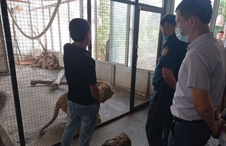 Уйда шер боқиш мумкинми?