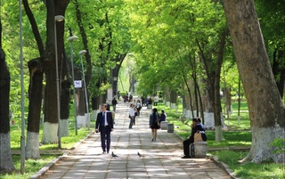 Dry and warm weather up to +33 degrees is expected in Uzbekistan in the first days of April